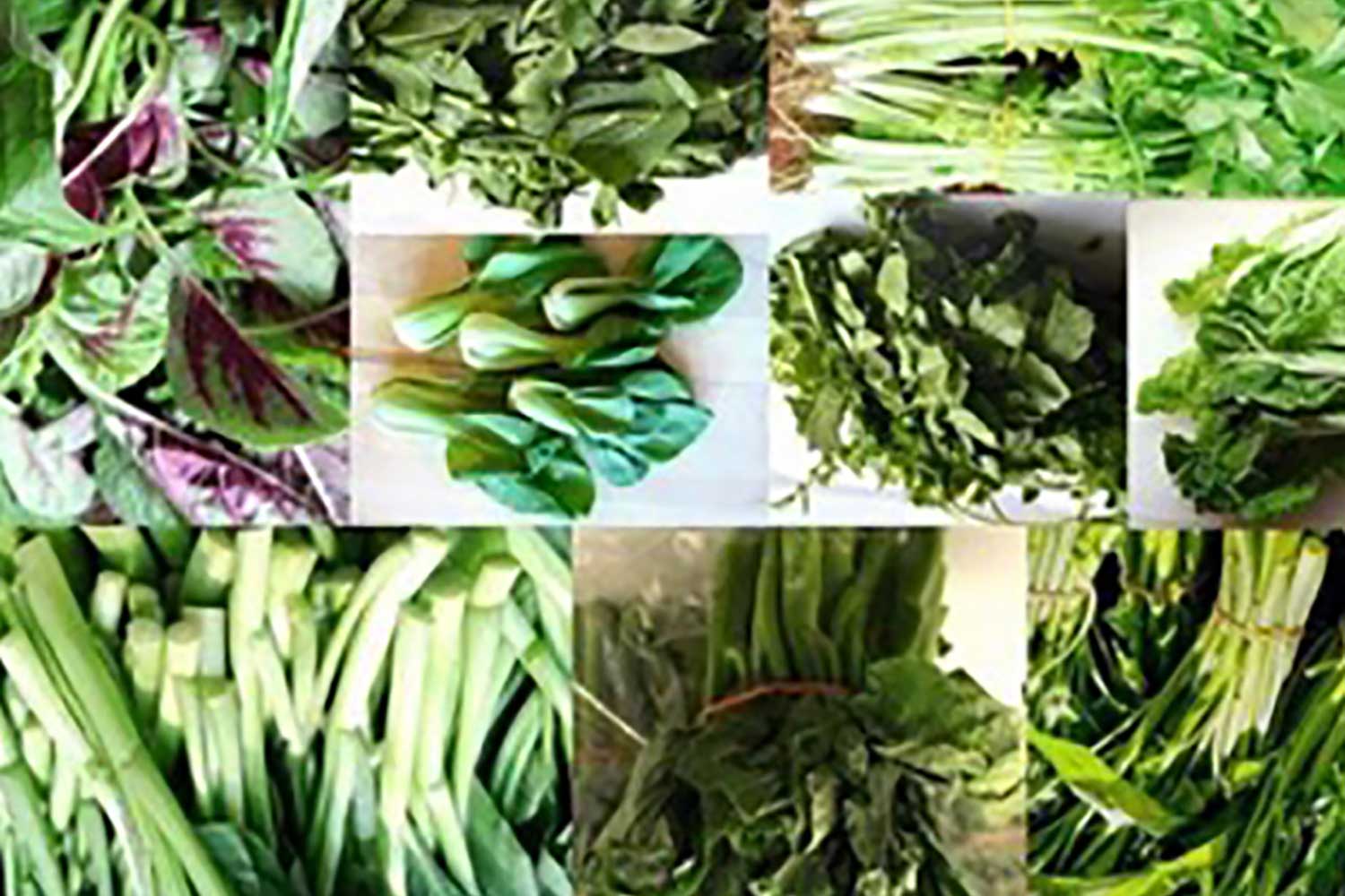Seven Lucky Reasons Why You Must Eat Your Greens